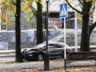 "Древесно-транспортное происшествие" произошло в Ставрополе