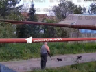 Устроивший самосуд над щенком пенсионер на Ставрополье отделался обязательными работами 