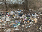 За отказ убрать мусор из лесополосы директор ставропольского ЗАО «Байсад» ответит перед судом