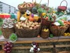 Купить дешевые фермерские продукты на ярмарке «Выходного дня» смогут жители Ставрополя 