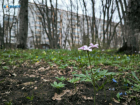 Пребывание ставропольцев в лесах будет ограничено в связи с пожарной безопасностью 