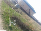 Крысы атаковали частные дворы и дома из-за магазинного мусора в поселке близ Пятигорска