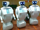 Роботы вместо людей будут консультировать посетителей МФЦ на Ставрополье