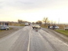 Женщина спровоцировала аварию с двумя пострадавшими на Ставрополье