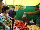 Ярмарки против магазинов: где выгодней, дешевле и удобней покупать продукты в Ставрополе 