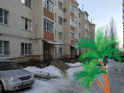 «...почистит настолько, что пальмы вырастут»: жители дома в Ставрополе не смогут нырнуть в сугроб