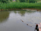 Ребенок утонул в реке Егорлык на Ставрополье