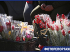К 8 марта Ставрополь «утонул» в тюльпанах, мимозе и шарах