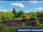 Жители Чапаевки вынуждены смотреть на вырубку питомника