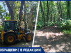 Лес превращается в стройку? Ставропольцы забили тревогу из-за вырубки деревьев в Таманском лесу