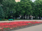 Ставропольский сквер был признан одним из лучших в России