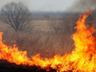 На Ставрополье по вине охотников происходят пожары