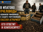 Пчелы дохнут, чиновники молчат: ставропольские пасечники выступили с заявлением после массовой гибели насекомых