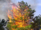 Пожарные спасли горящий лес на горе Куцай от полного уничтожения