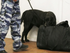 Две подозрительные сумки нашли в Ставрополе