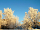 Потепление прогнозируется на Ставрополье в конце недели