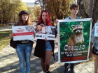 Жительниц Ставрополя рассердила акция против убийства животных ради одежды