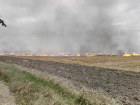 Сельхозпредприятие оштрафовали на 400 тыс рублей за сжигание сухостоя на Ставрополье