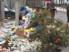 Коммунальщики в Пятигорске принципиально игнорируют мусор около контейнеров