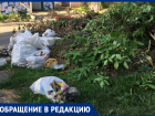 Жители Ставрополя пожаловались на свалку в центре города