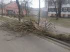Штормовое предупреждение из-за очень сильного ветра объявили на Ставрополье 
