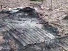 «Все было пропитано болью»: в Ставрополе массово сожгли собак в лесу — видео
