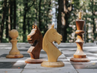 В Ставрополе построят шахматный домик 