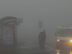 Возможные заморозки, туманы и дожди пообещали в начале недели синоптики на Ставрополье