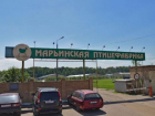 Скандально известную «Марьинскую птицефабрику» после банкротства продают за 59 миллионов рублей