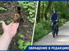 Бешеные велосипедисты убивают белок на тропе здоровья в Ставрополе