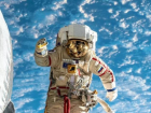 Тест: а вы готовы стать космонавтом?