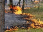 О высокой пожароопасности в понедельник предупредили жителей Ставрополья﻿