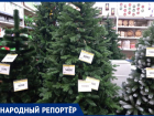В ставропольских магазинах показали ценники с подорожавшими новогодними елками 