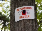 Число заболевших КГЛ на Ставрополье выросло до десяти человек