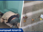 «Здесь каждый день ад»: притон в подъезде приводит в ужас жителей многоэтажного дома в Ставрополе