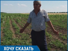 «На протяжении десяти лет отара овец с соседней кошары истребляет посевы на моём поле», - житель Ставрополья