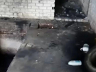 В Ставрополе подожгли заброшенную стройку с бездомными собаками 
