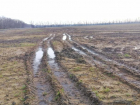 Фекалиями затопило сельхозугодия в Шпаковском округе 
