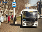 «Нет денег — едем дальше»: водитель отказался выпускать ребенка из автобуса в Ставрополе