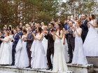 На Ставрополье произошел свадебный бум