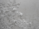 В Ставрополе ожидается снежный четверг