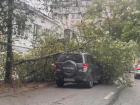 Во время ливня в Ставрополе дерево упало на припаркованный внедорожник