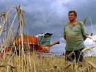 Ставропольские фермеры смогут получить до 30 миллионов рублей в качестве грантов