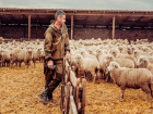 Фермеры-животноводы будут бороться за многомиллионые гранты на Ставрополье