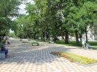 Новая липовая аллея появится на улице Пушкина в Ставрополе 