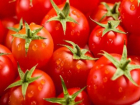 Более полутонны свежих турецких томатов с рынка раздавили бульдозером на Ставрополье
