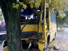Пьяный мужчина на угнанной маршрутке врезался в дерево в Невинномысске