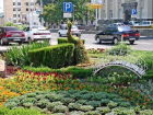 Жители Ставрополя смогут благоустроить и озеленить город