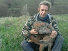 Домашнего волка Малыша продает житель Ставрополья 