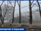Жители Ставрополя бьют тревогу из-за спила молодых деревьев во дворе